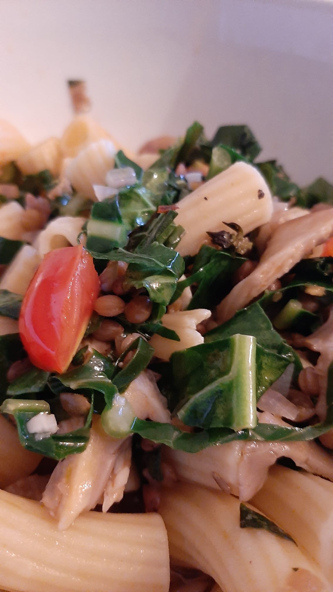 Tortiglioni mit Cavolo Nero Austernpilzen und Berglinsen