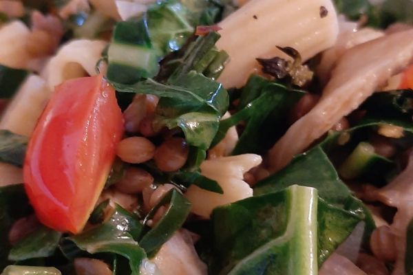 Tortiglioni mit Cavolo Nero Austernpilzen und Berglinsen